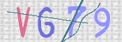 この文字を入力してください
