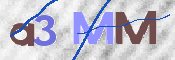 この文字を入力してください