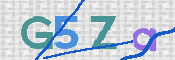この文字を入力してください