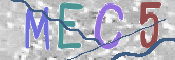 この文字を入力してください
