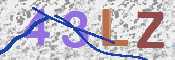 この文字を入力してください