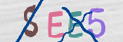この文字を入力してください