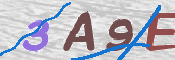 この文字を入力してください