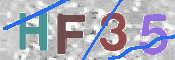 この文字を入力してください