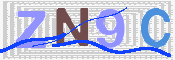 この文字を入力してください