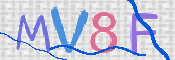 この文字を入力してください