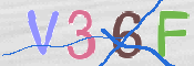 この文字を入力してください