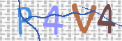 この文字を入力してください