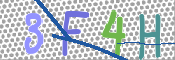 この文字を入力してください
