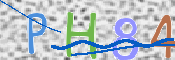 この文字を入力してください