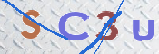 この文字を入力してください