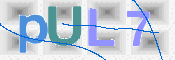 この文字を入力してください