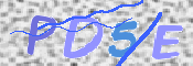 この文字を入力してください
