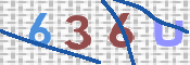 この文字を入力してください