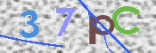 この文字を入力してください