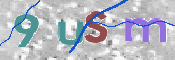 この文字を入力してください