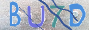 この文字を入力してください