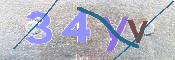 この文字を入力してください