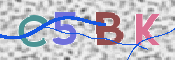 この文字を入力してください