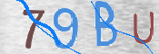 この文字を入力してください