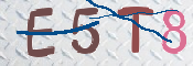 この文字を入力してください