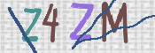 この文字を入力してください