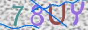 この文字を入力してください
