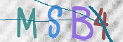 この文字を入力してください