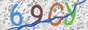 この文字を入力してください