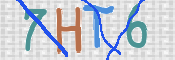 この文字を入力してください