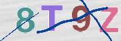 この文字を入力してください