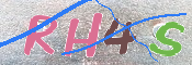 この文字を入力してください