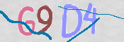この文字を入力してください