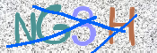 この文字を入力してください