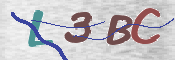 この文字を入力してください