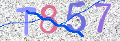 この文字を入力してください