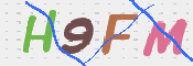 この文字を入力してください