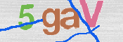 この文字を入力してください