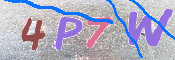 この文字を入力してください
