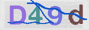 この文字を入力してください