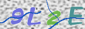 この文字を入力してください