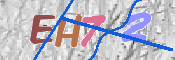 この文字を入力してください