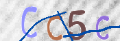 この文字を入力してください