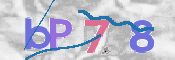 この文字を入力してください