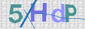 この文字を入力してください