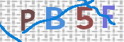 この文字を入力してください