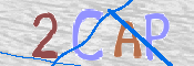 この文字を入力してください