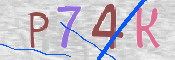 この文字を入力してください