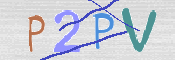 この文字を入力してください