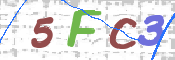 この文字を入力してください